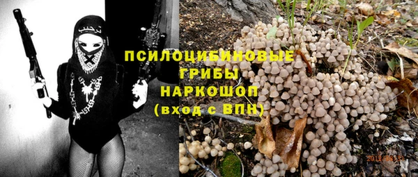 ешки Костерёво