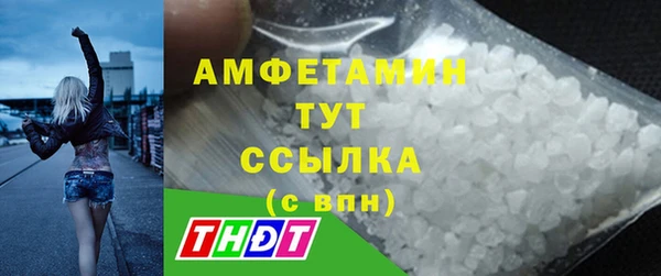 шишки Кодинск