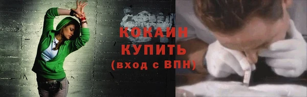 шишки Кодинск