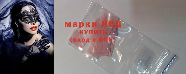 шишки Кодинск