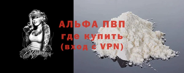 шишки Кодинск