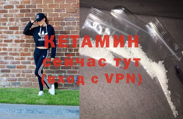шишки Кодинск
