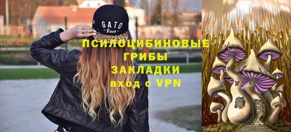 ешки Костерёво