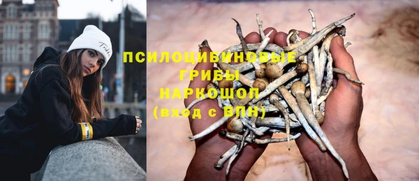 дмт Коряжма