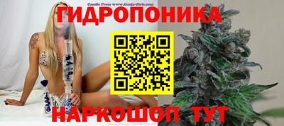mdpv Заволжье