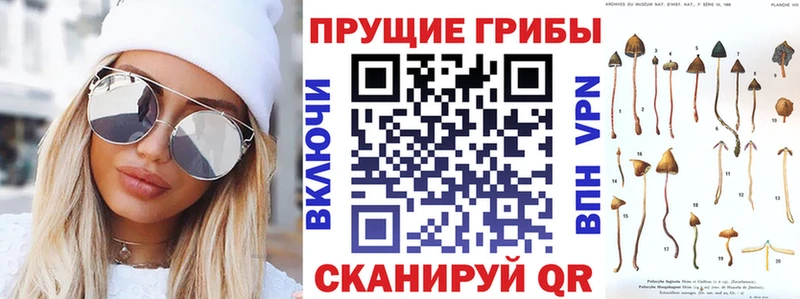 Псилоцибиновые грибы GOLDEN TEACHER  Михайловка 