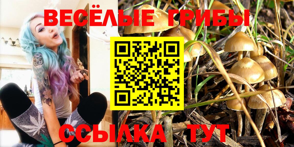 что такое наркотик  Галлюциногенные грибы Magic Shrooms  Вход с VPN  Галлюциногенные грибы GOLDEN TEACHER  Михайловка 